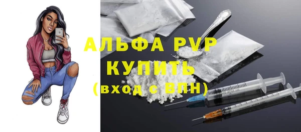 шишки Горнозаводск