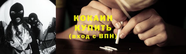 шишки Горнозаводск