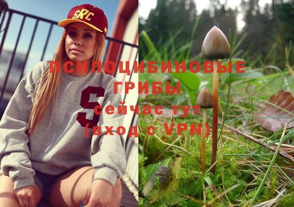 шишки Горнозаводск