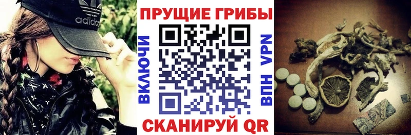 Купить где  Валдай  Псилоцибиновые грибы Magic Shrooms 